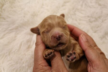 1E5893D2-BFA6-4663-8FFD-EE9AD8A84298_1_201_a