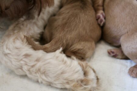 22B2326C-1DDA-4BA4-B8F4-1293FB8EA983_1_201_a