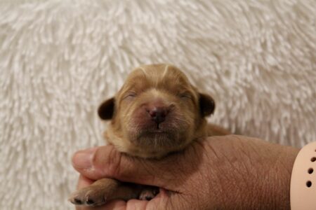 380A2B22-2252-4E61-A8BD-C5C1B9F5A461_1_201_a