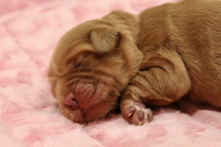 38E1DF7D-885B-47B8-B4C3-BDB5496885E4_1_201_a