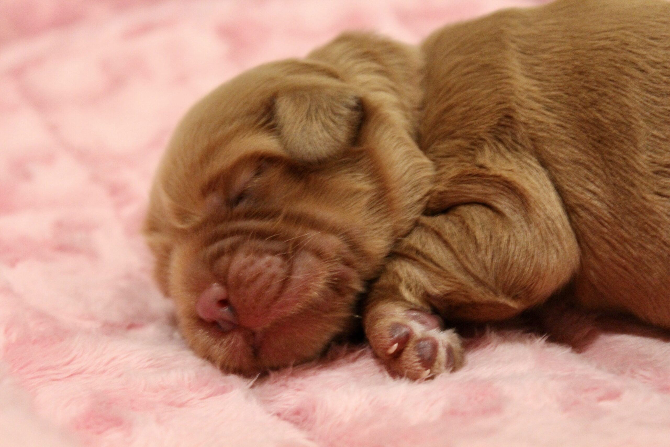 38E1DF7D-885B-47B8-B4C3-BDB5496885E4_1_201_a