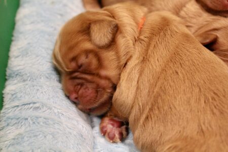 3C7EB65C-C9E2-46D5-829F-14E099002887_1_201_a