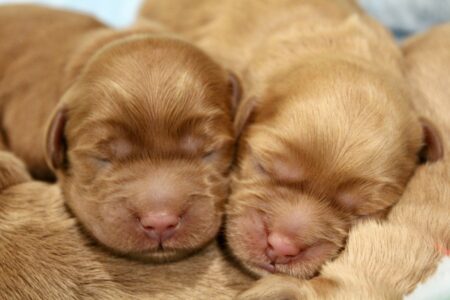 540139BC-021A-4AB7-BD11-2BAB0CC18AE7_1_201_a