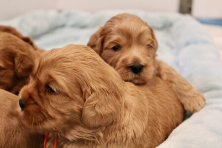 662DF2EE-79B2-4C91-8DA7-5AAC51C4DB2C_1_201_a