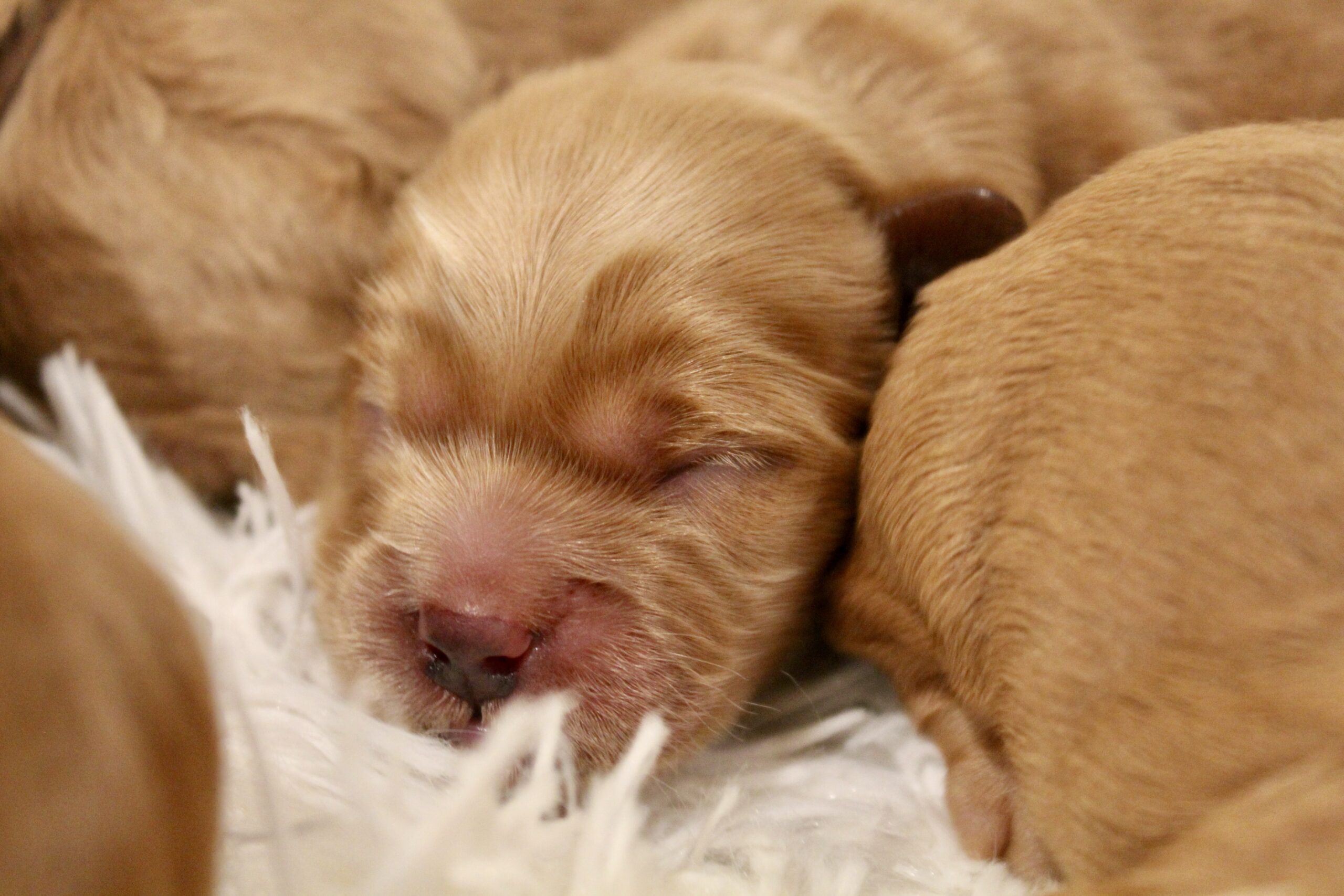 6AC64845-556F-4E7A-9F94-FB9FE046102F_1_201_a