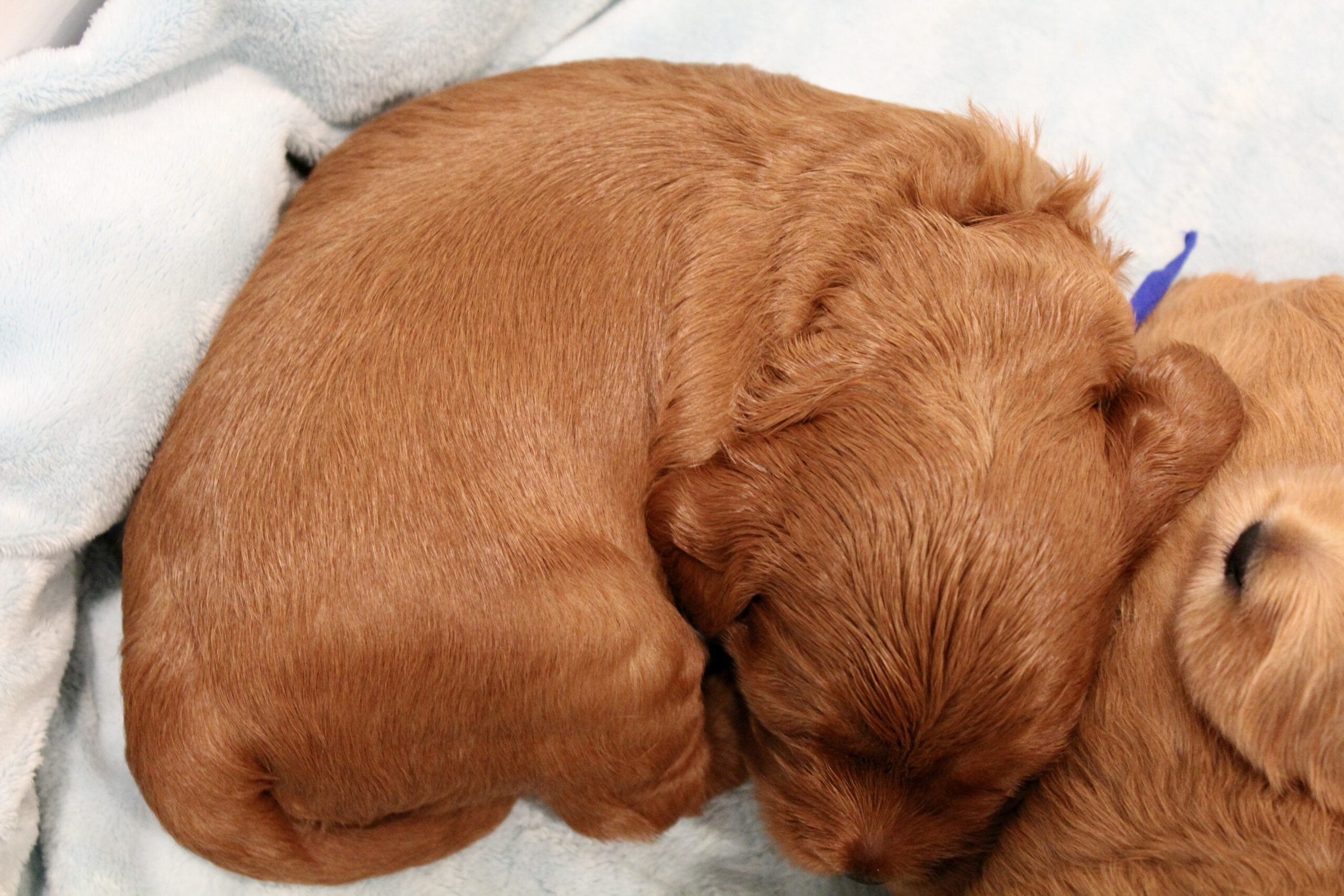 736302CC-1F22-4C07-BDB6-6840836188B7_1_201_a