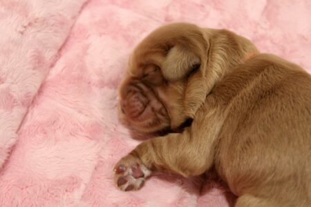 76CC6237-115A-49E5-B719-0A52AB5AEF60_1_201_a