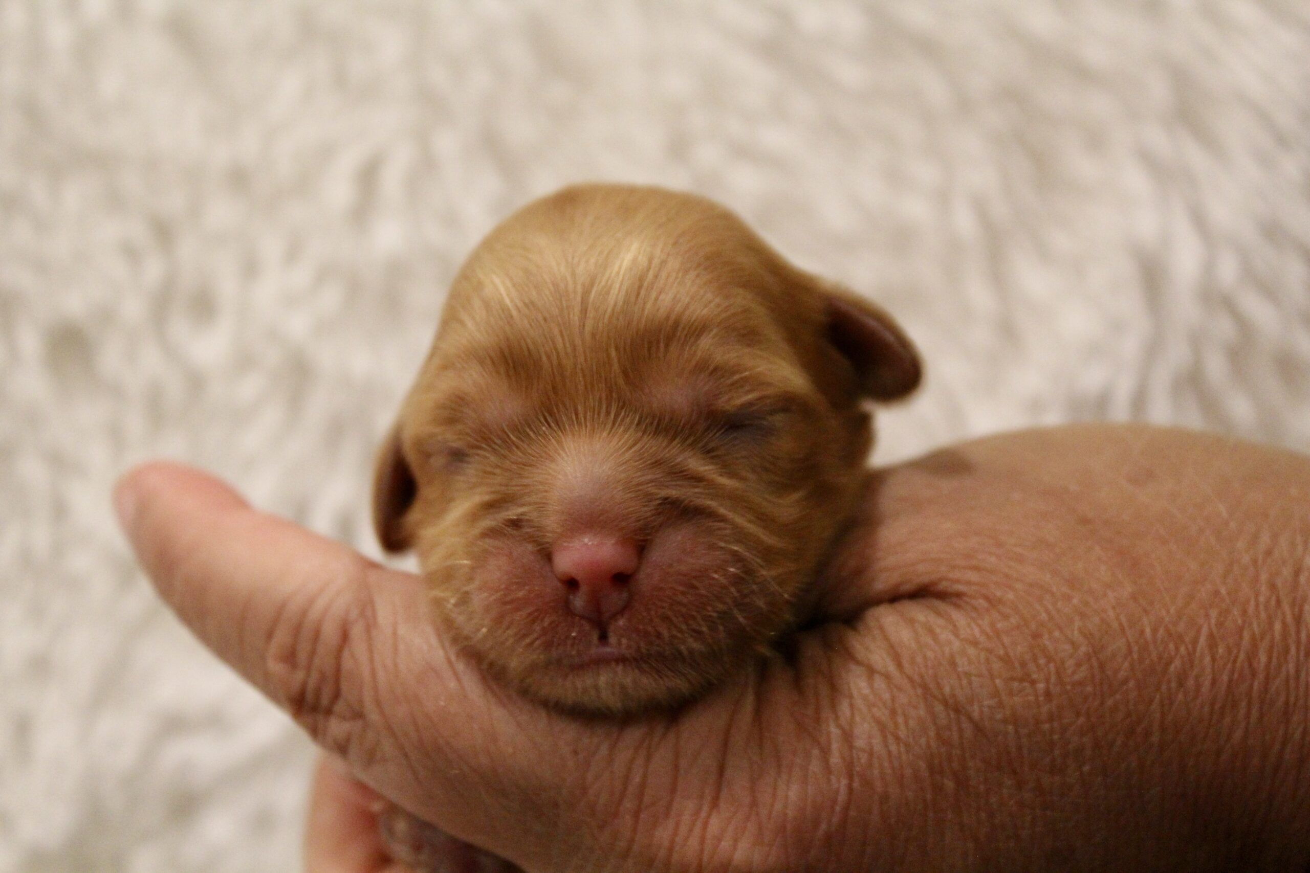 7E7DB41A-468F-4535-A7EF-B1D0FD89E2A7_1_201_a