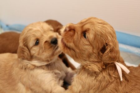 7E8B8099-0BAF-48EA-AE58-9C8C15081A29_1_201_a