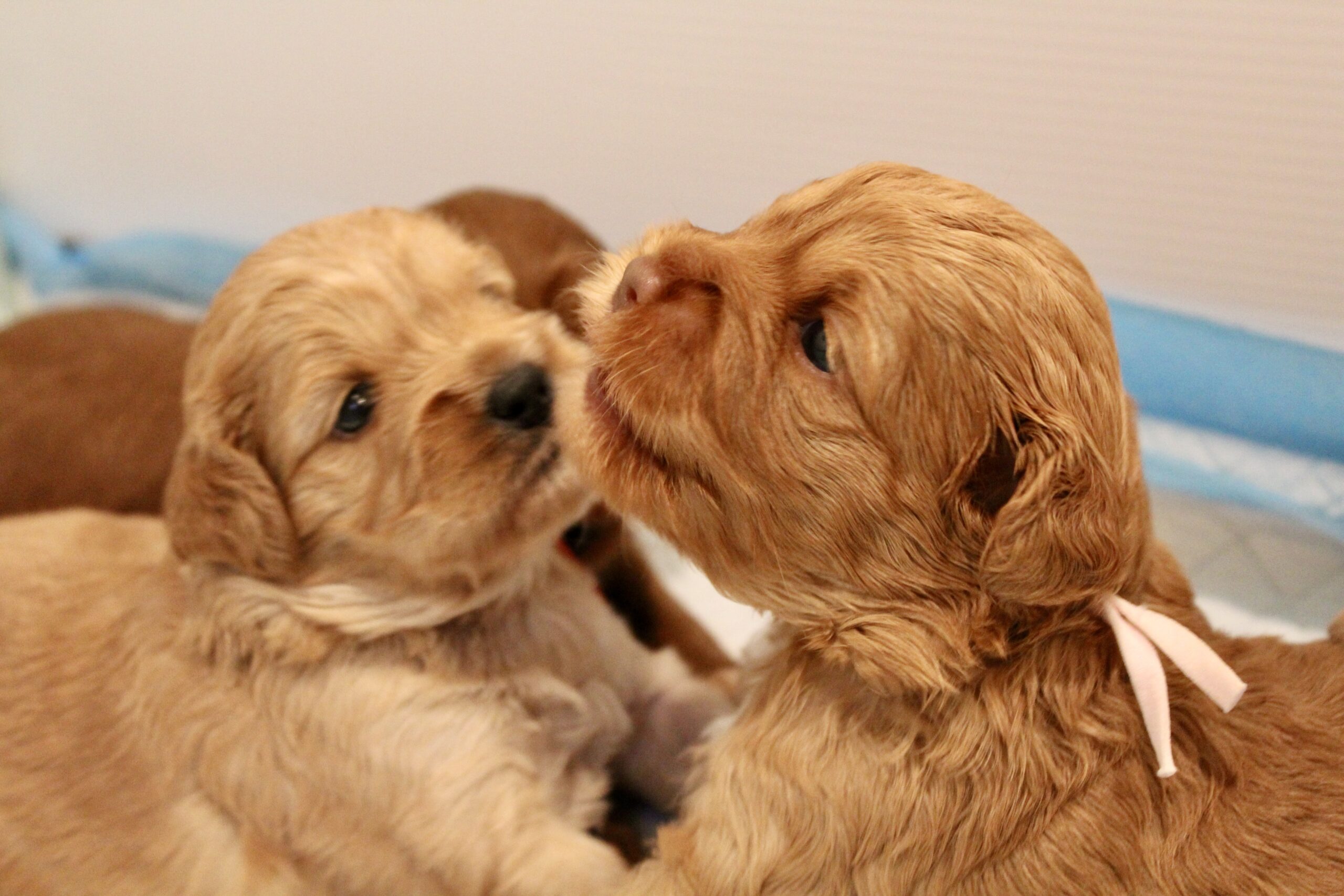 7E8B8099-0BAF-48EA-AE58-9C8C15081A29_1_201_a