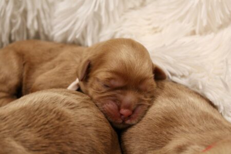 82A2D342-DFE8-4313-B4F0-B4DB74625220_1_201_a