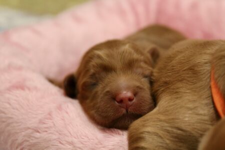 897FC64E-CB1A-4AF6-AA53-ED5AFF60069F_1_201_a