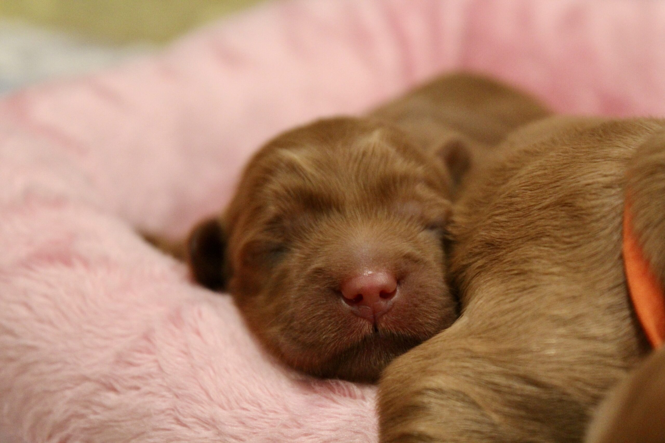 897FC64E-CB1A-4AF6-AA53-ED5AFF60069F_1_201_a