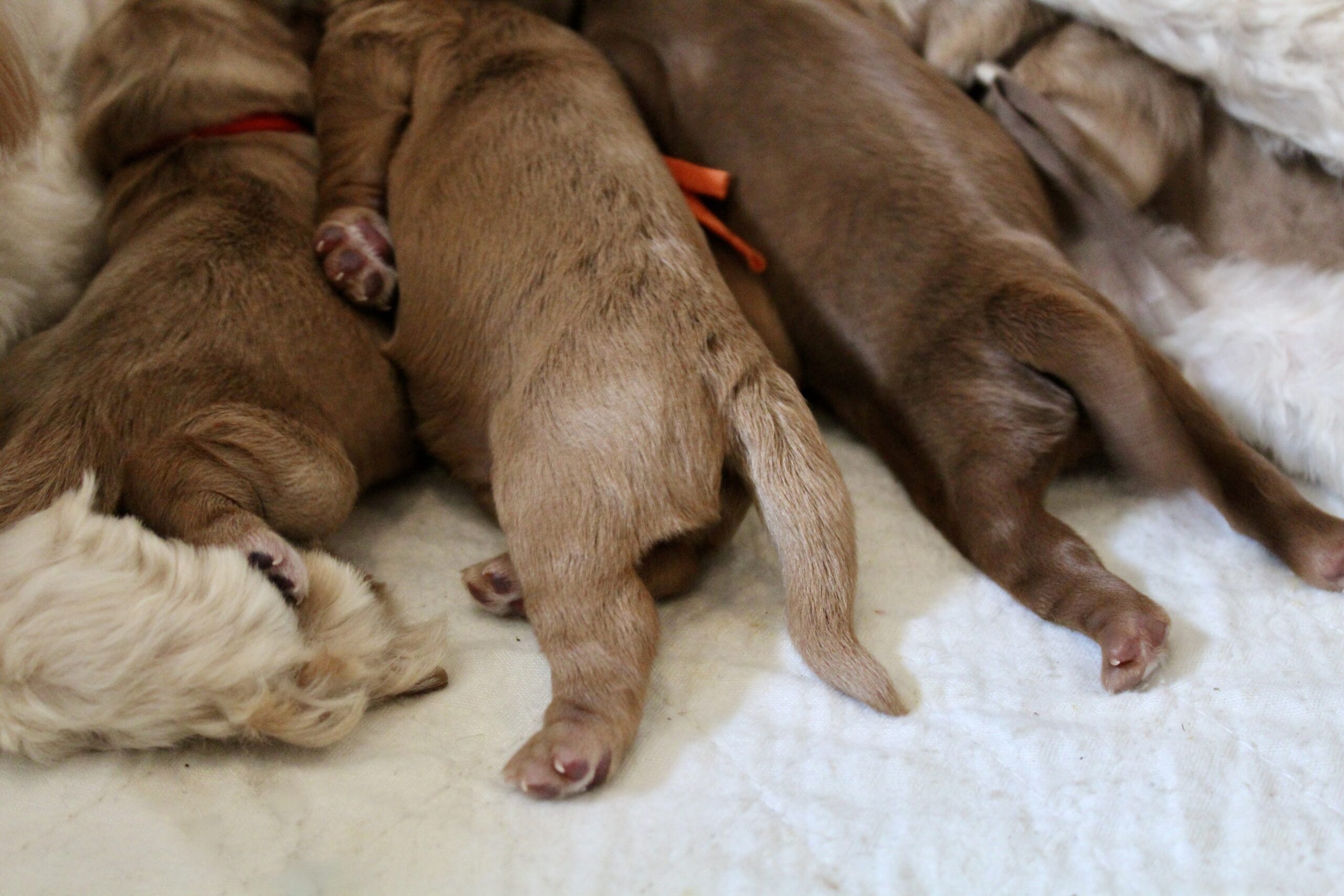 A292F23F-0F12-4C77-A6AC-E09D3EA1799B_1_201_a