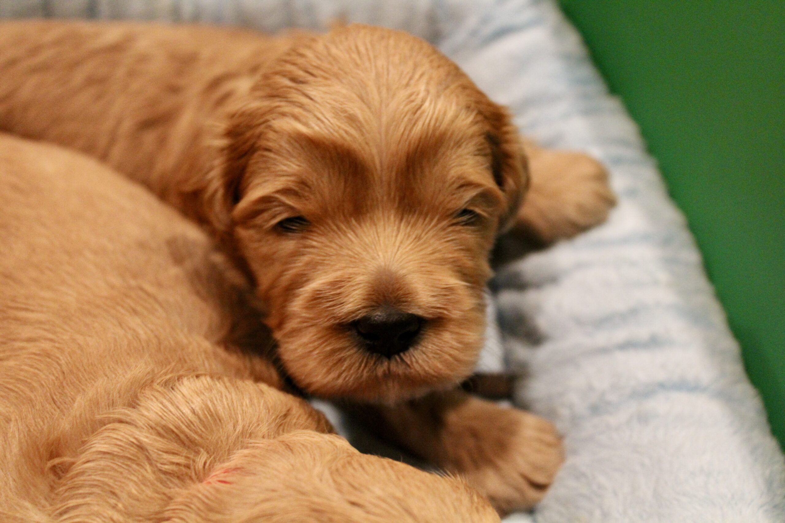 B57A820A-BA7E-4022-83E5-75EB3453320D_1_201_a