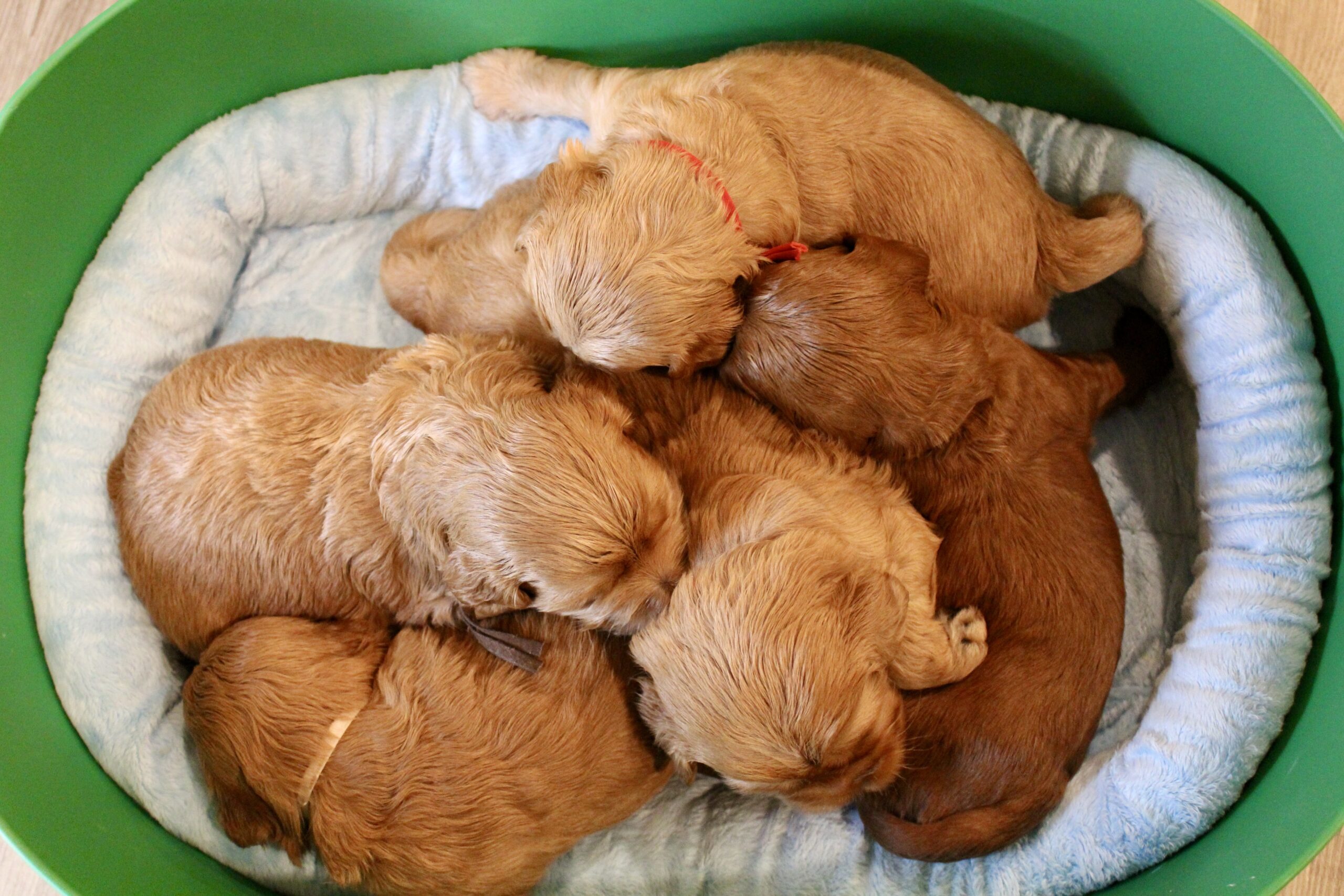 B6D01356-CE78-42DF-899E-2BE3190479C9_1_201_a