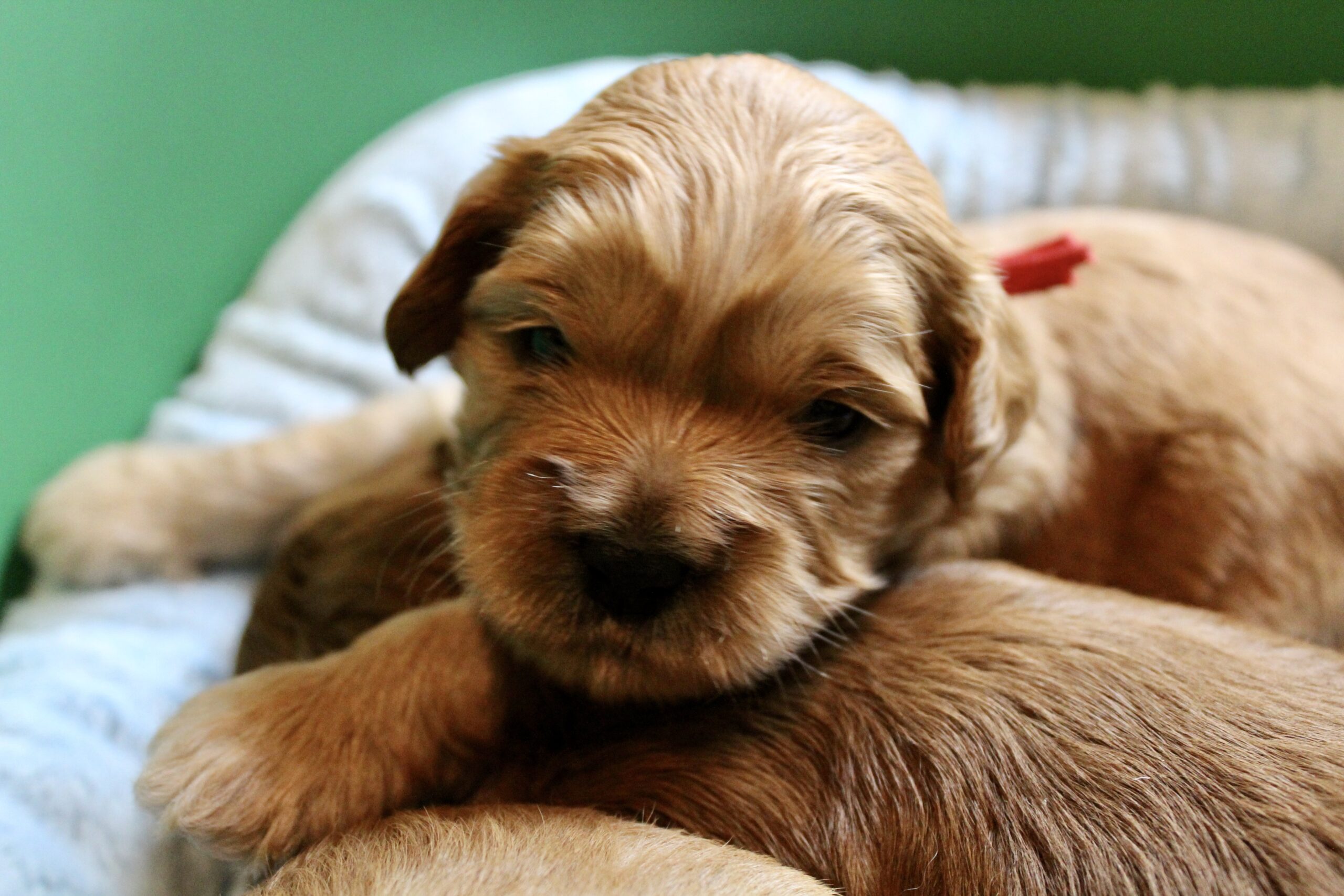 B7896517-BE62-4DF0-9DD8-884572011474_1_201_a