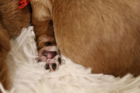 C9D6C201-44B5-4263-A4AC-0190ADB69060_1_201_a