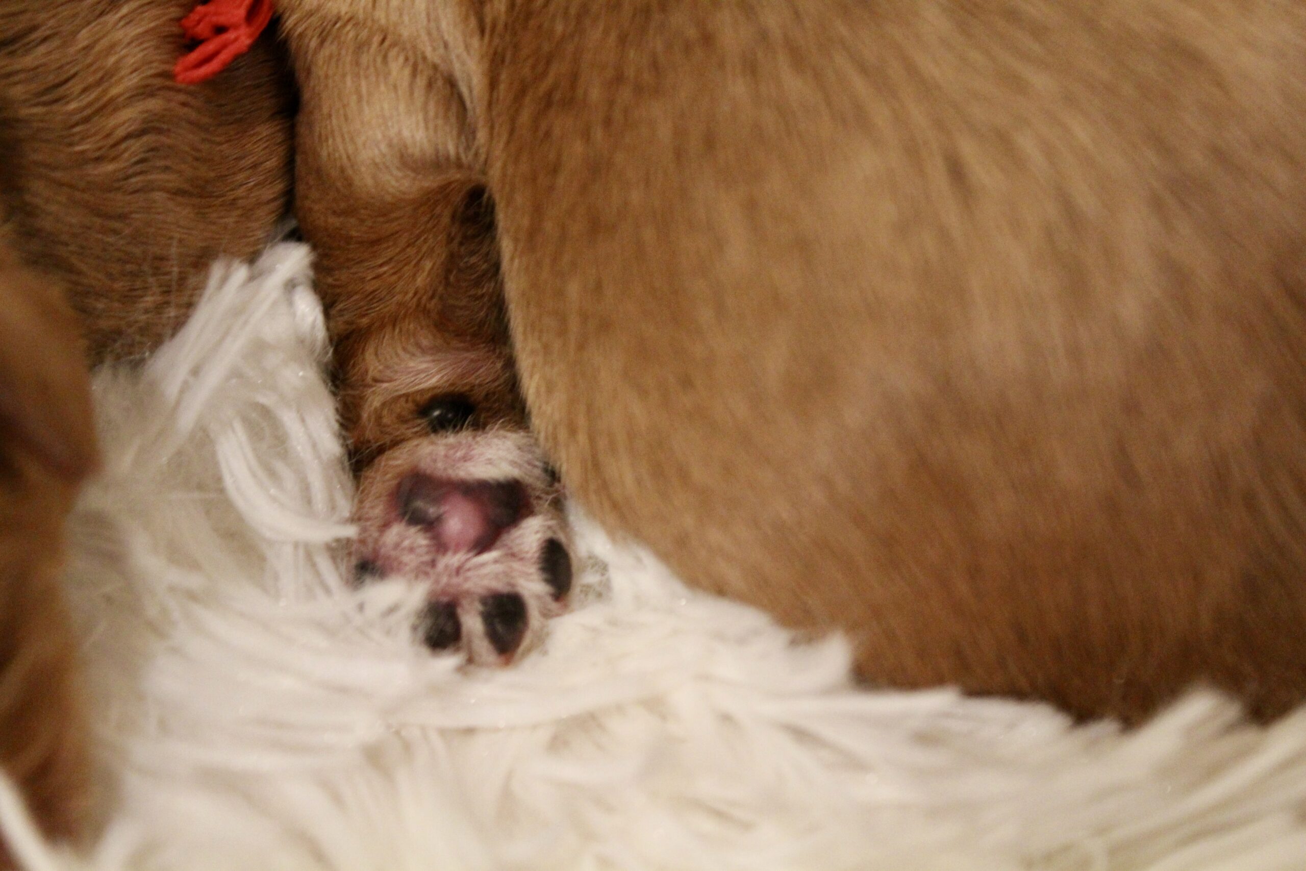 C9D6C201-44B5-4263-A4AC-0190ADB69060_1_201_a