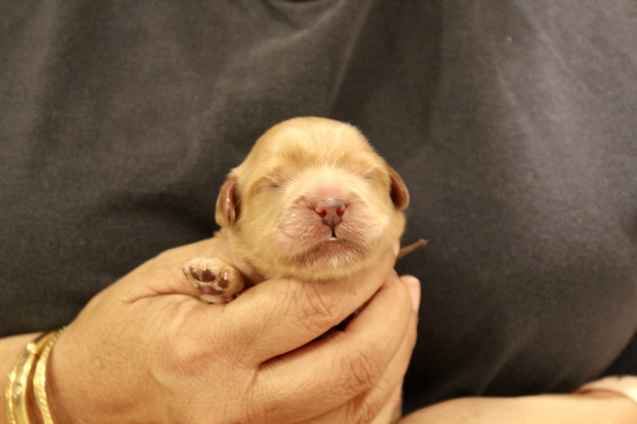 CCFBCDFD-93D9-4017-B93D-FCCAD3F5F38E_1_201_a