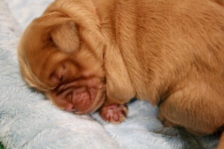 DC91DE29-B0DA-45D9-A00A-0A4BCA082A26_1_201_a