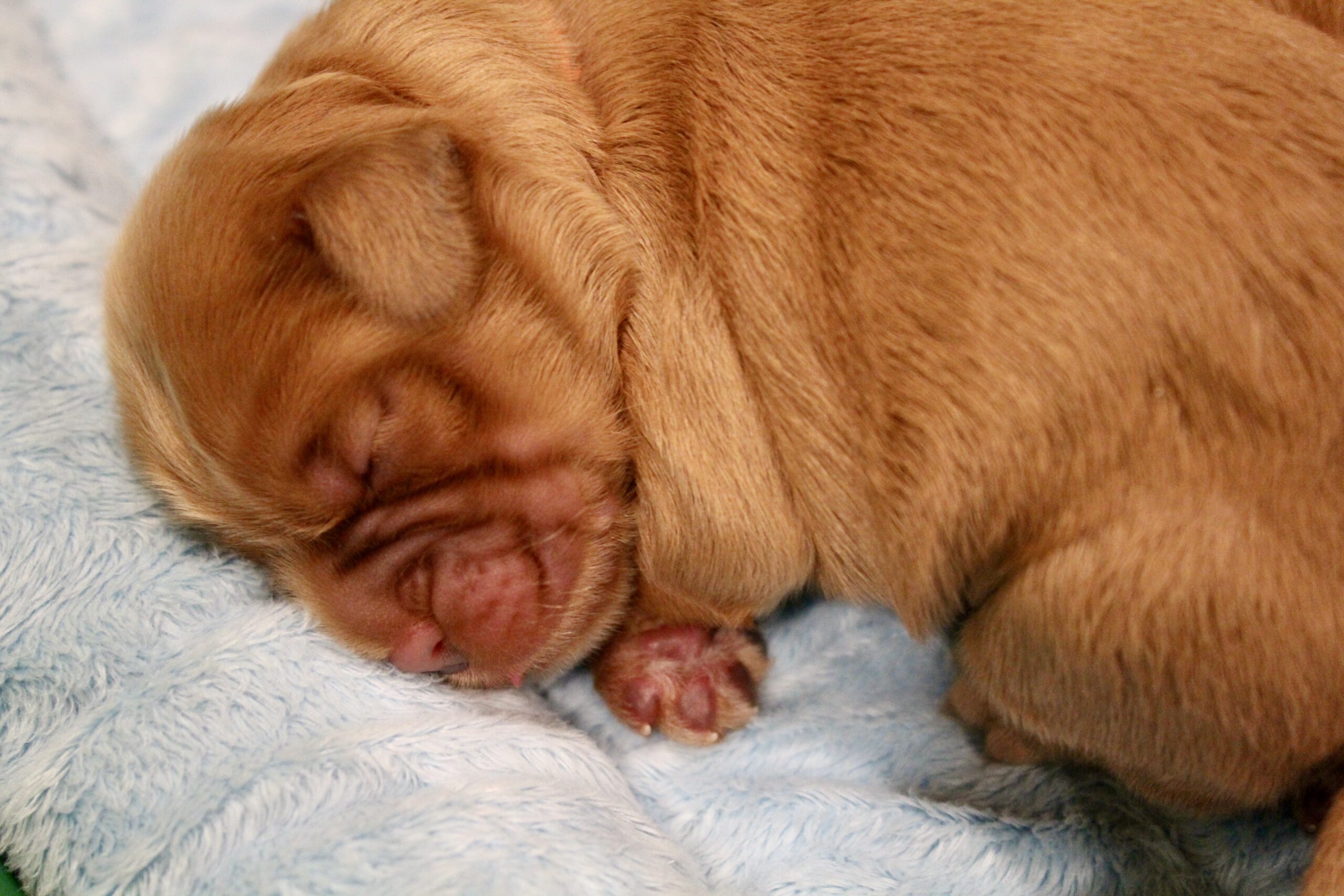 DC91DE29-B0DA-45D9-A00A-0A4BCA082A26_1_201_a