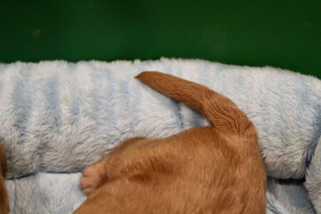 E09FF1B7-4899-41E9-BD41-9112C2673BF3_1_201_a