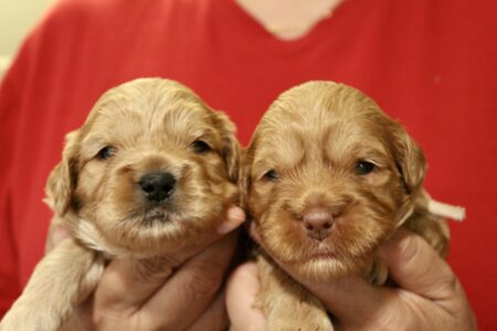 E657E3DC-A148-4088-B7C3-A9DCA632C452_1_201_a