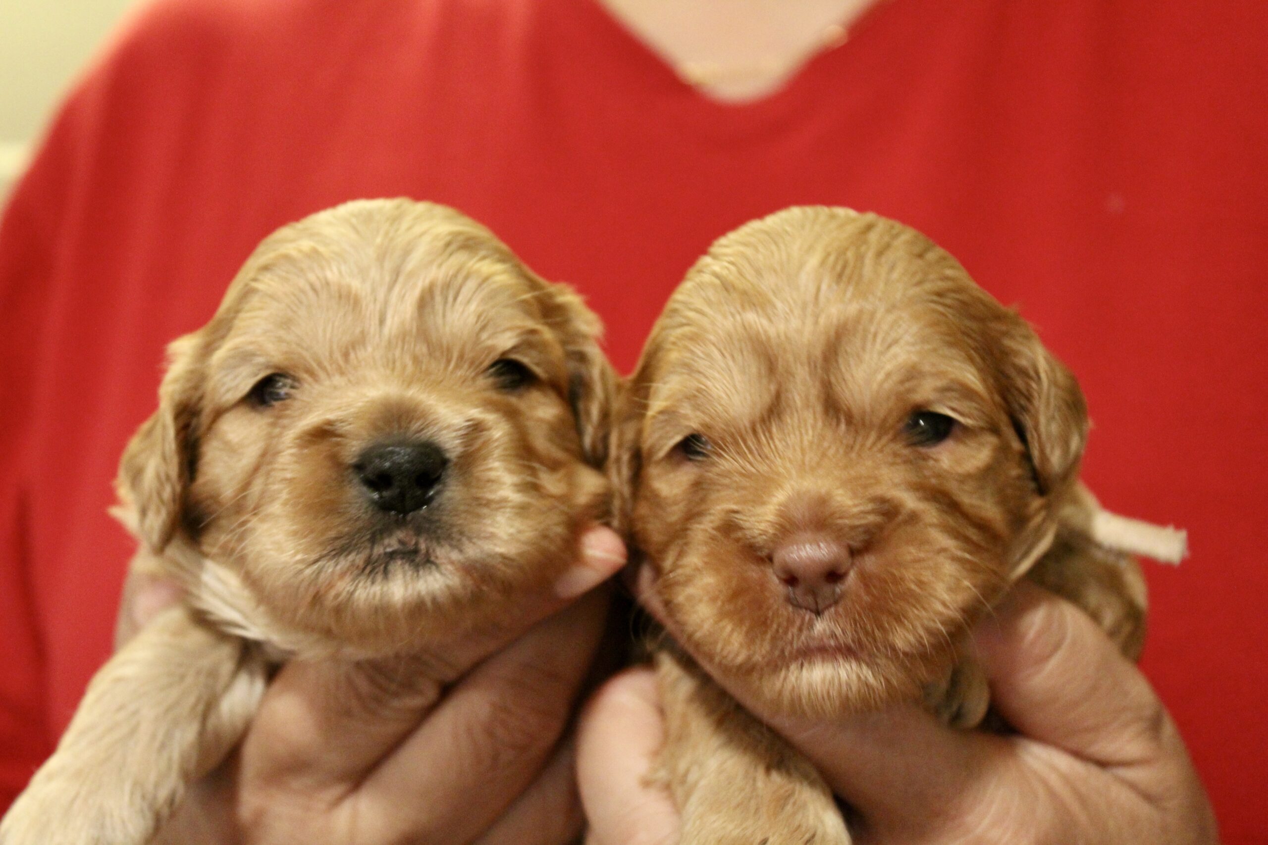 E657E3DC-A148-4088-B7C3-A9DCA632C452_1_201_a