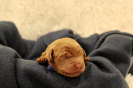 ED79F792-6A3C-4FDB-B2A8-395036883D78_1_201_a