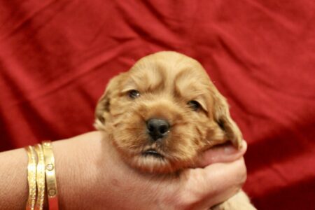 F8C75A94-172C-452B-B075-967145D7B7D2_1_201_a