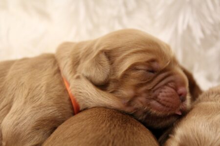 FE76911C-0BDC-4812-9FAC-8FBCD41656B8_1_201_a