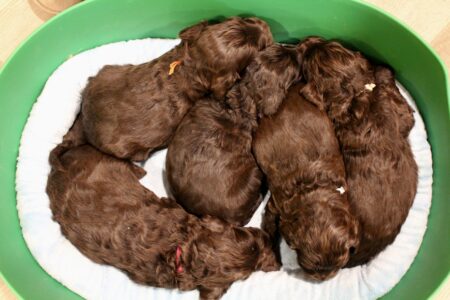 51B31433-510B-4B54-B78E-4EE2923CC2A4_1_201_a