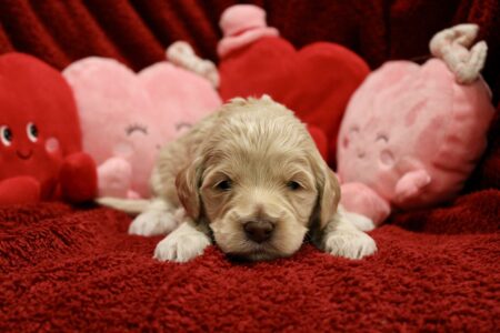 76AF3252-F943-41ED-BD08-DF70264EB337_1_201_a