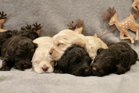 78F32371-77F0-4D34-BD1D-66994402D058_1_201_a