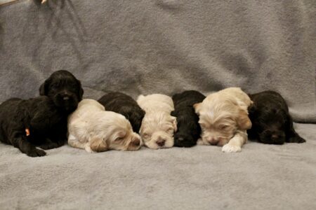 7F8529F0-8685-4C09-9121-5CB0A1868790_1_201_a