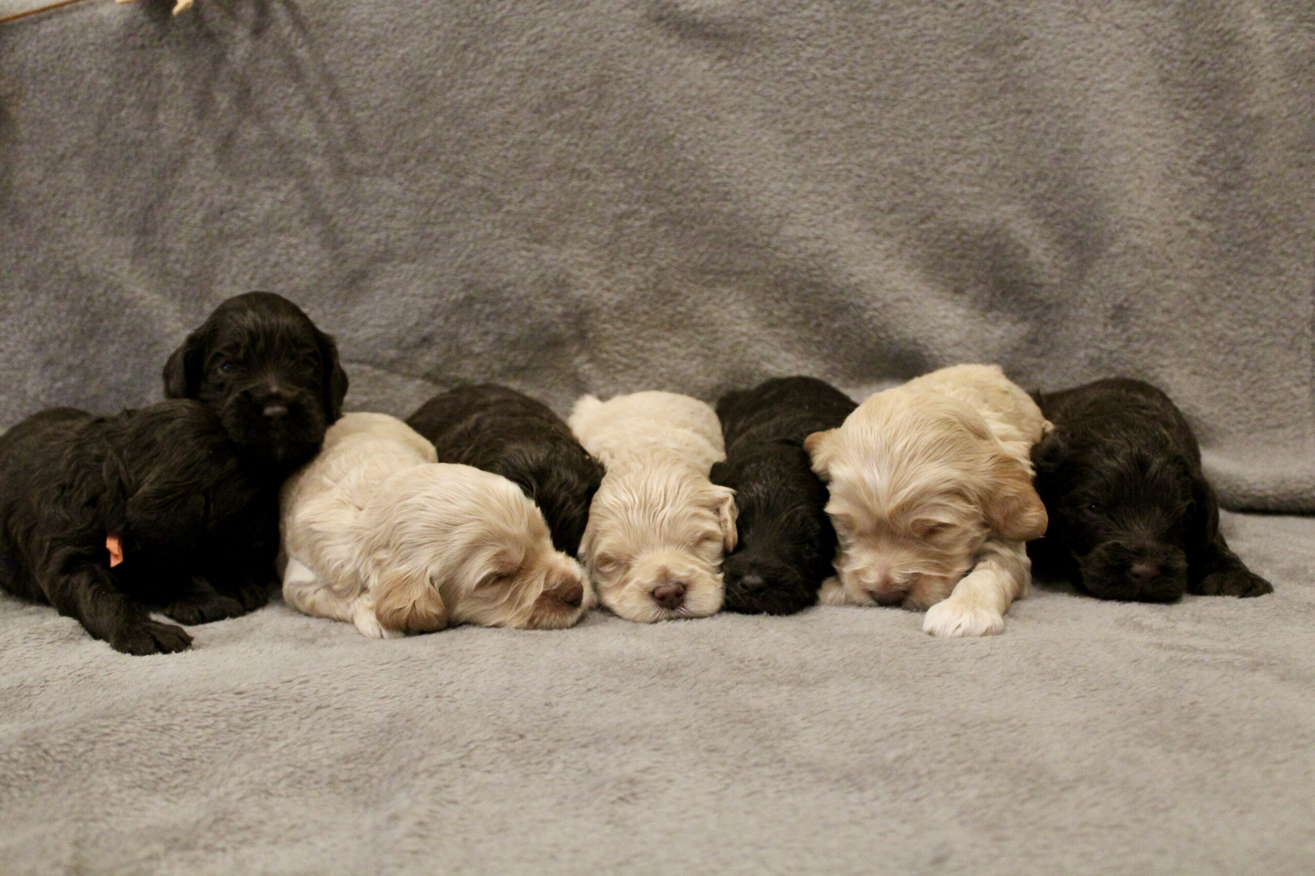 7F8529F0-8685-4C09-9121-5CB0A1868790_1_201_a