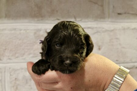 831B4659-2722-46B8-932F-FB7B28D19EA9_1_201_a