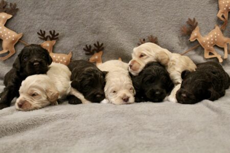 8EE83B8D-3132-4E04-9930-1E6AD47DA815_1_201_a