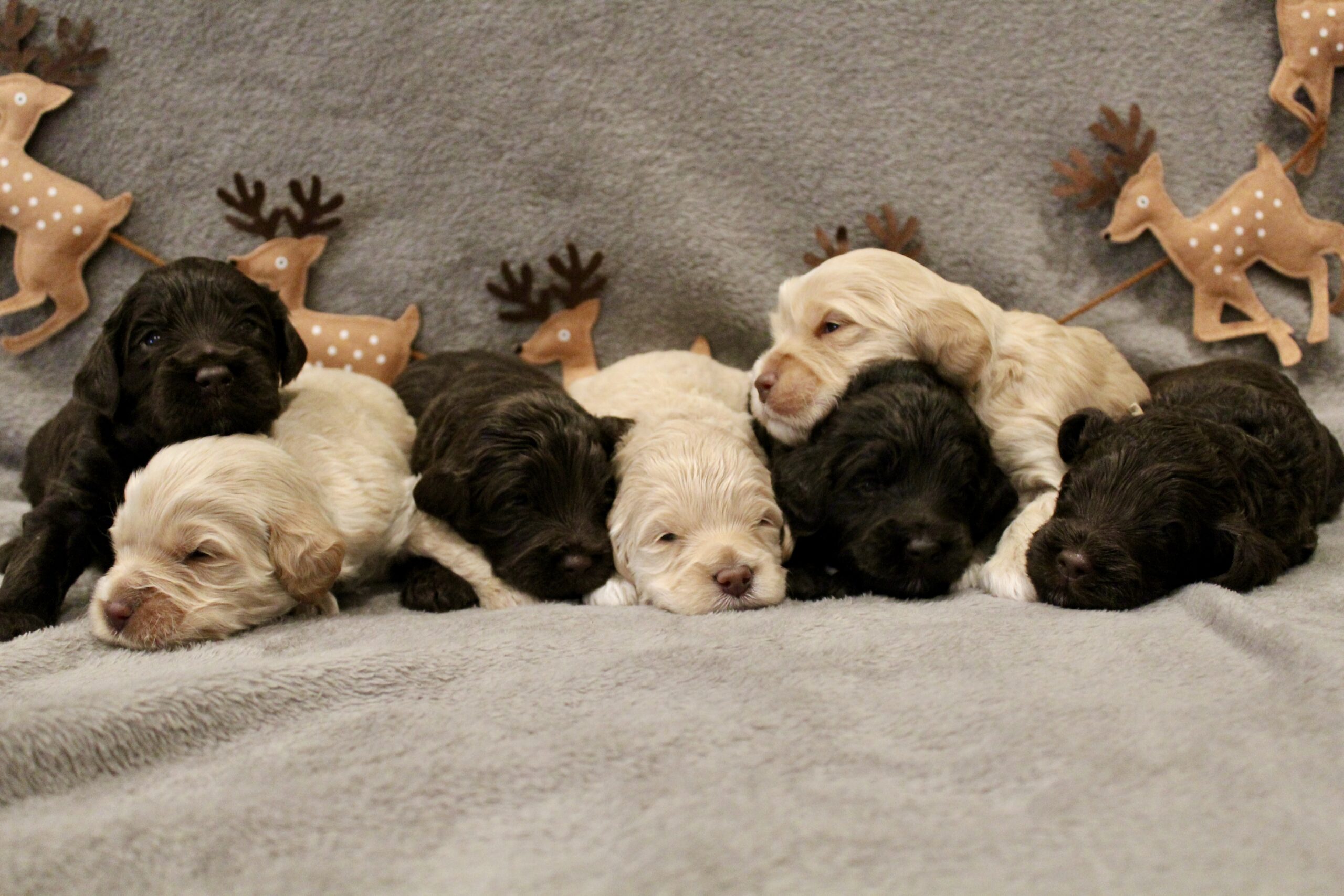 8EE83B8D-3132-4E04-9930-1E6AD47DA815_1_201_a