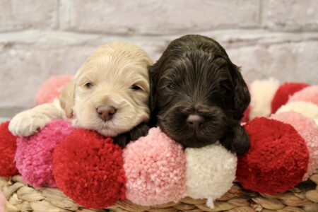 B50FDAA2-B2EE-4D00-8507-B685B67392B1_1_201_a