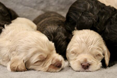 B7894248-5C03-4ABD-B65D-97404D5980E5_1_201_a