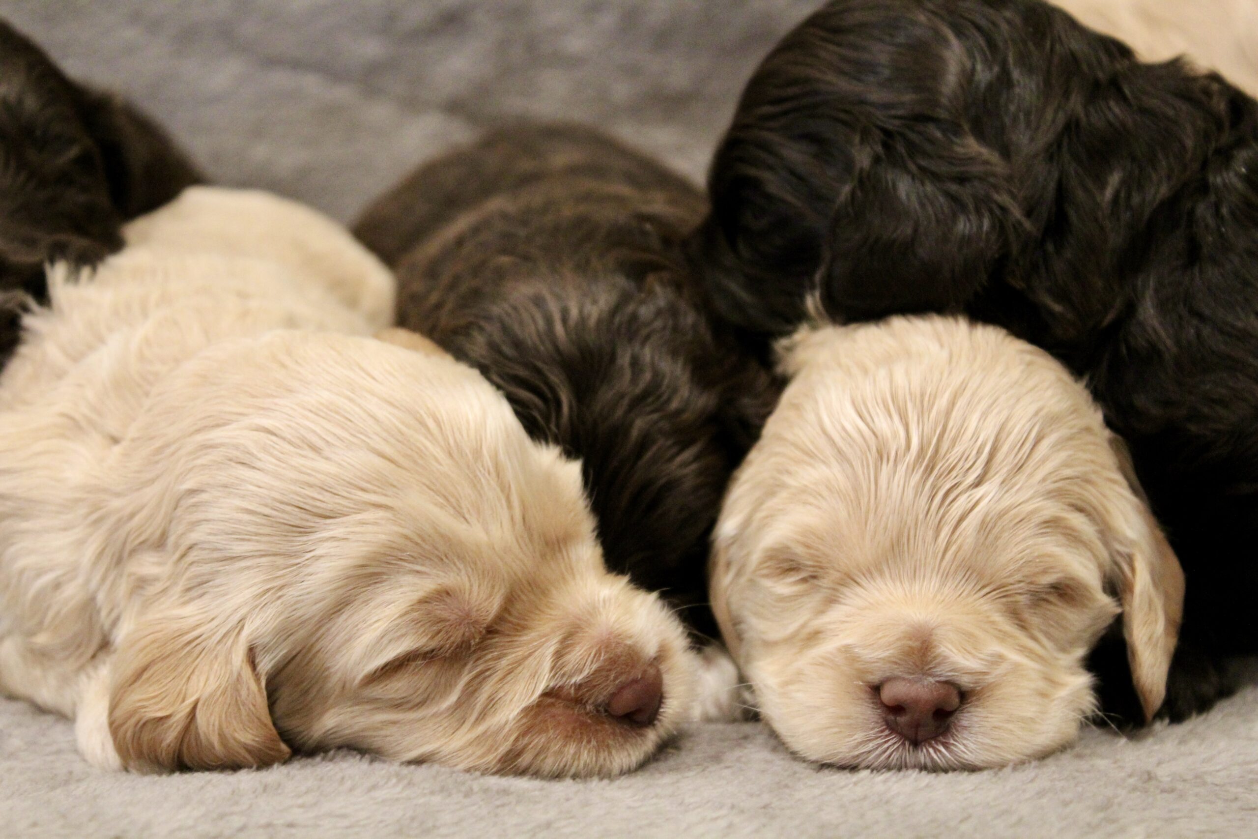 B7894248-5C03-4ABD-B65D-97404D5980E5_1_201_a