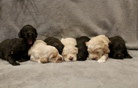 BCC70884-8DE5-4690-84F8-6E13226E9F0C_1_201_a