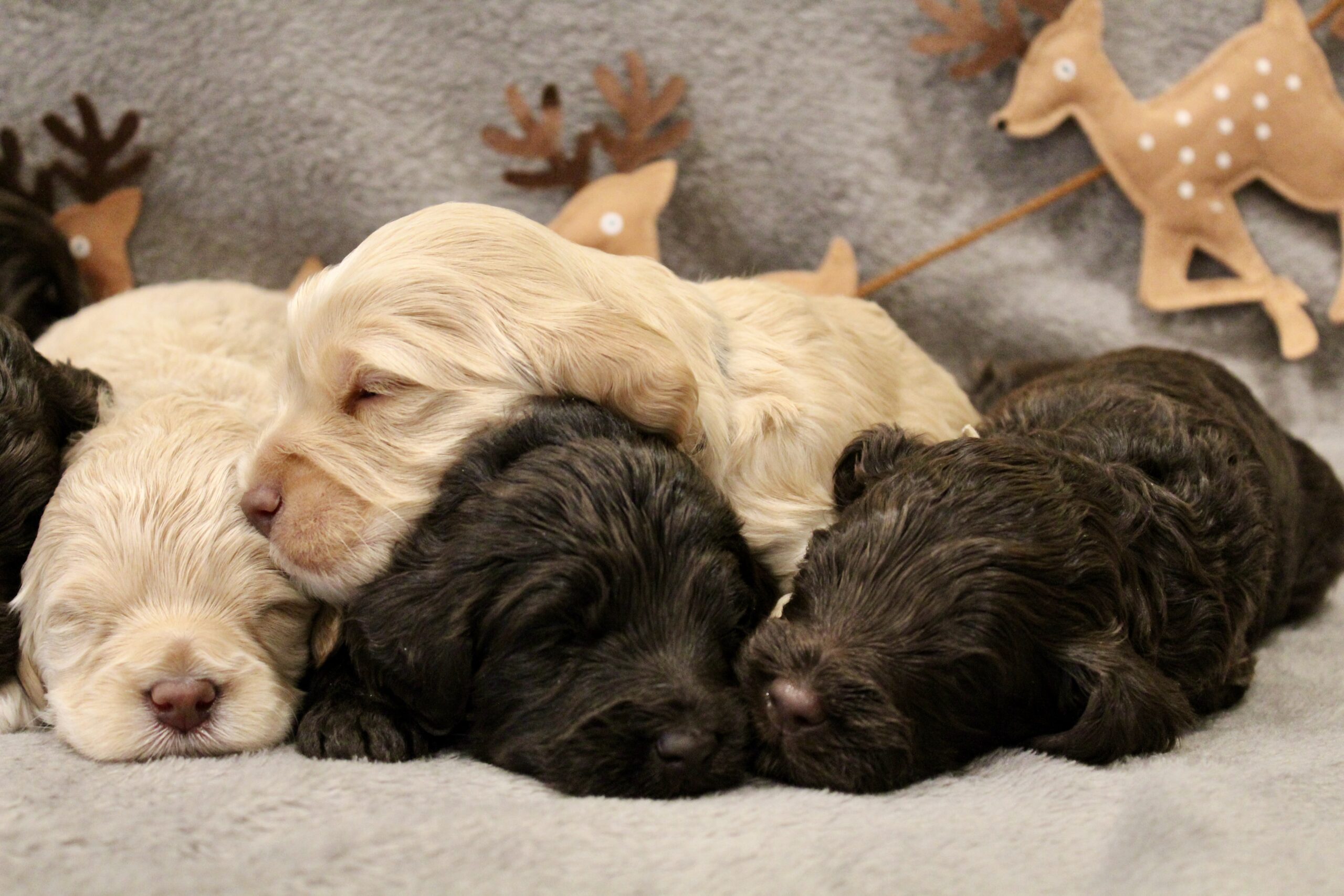 C0B60254-8101-4ECC-8A36-83B7E9621972_1_201_a