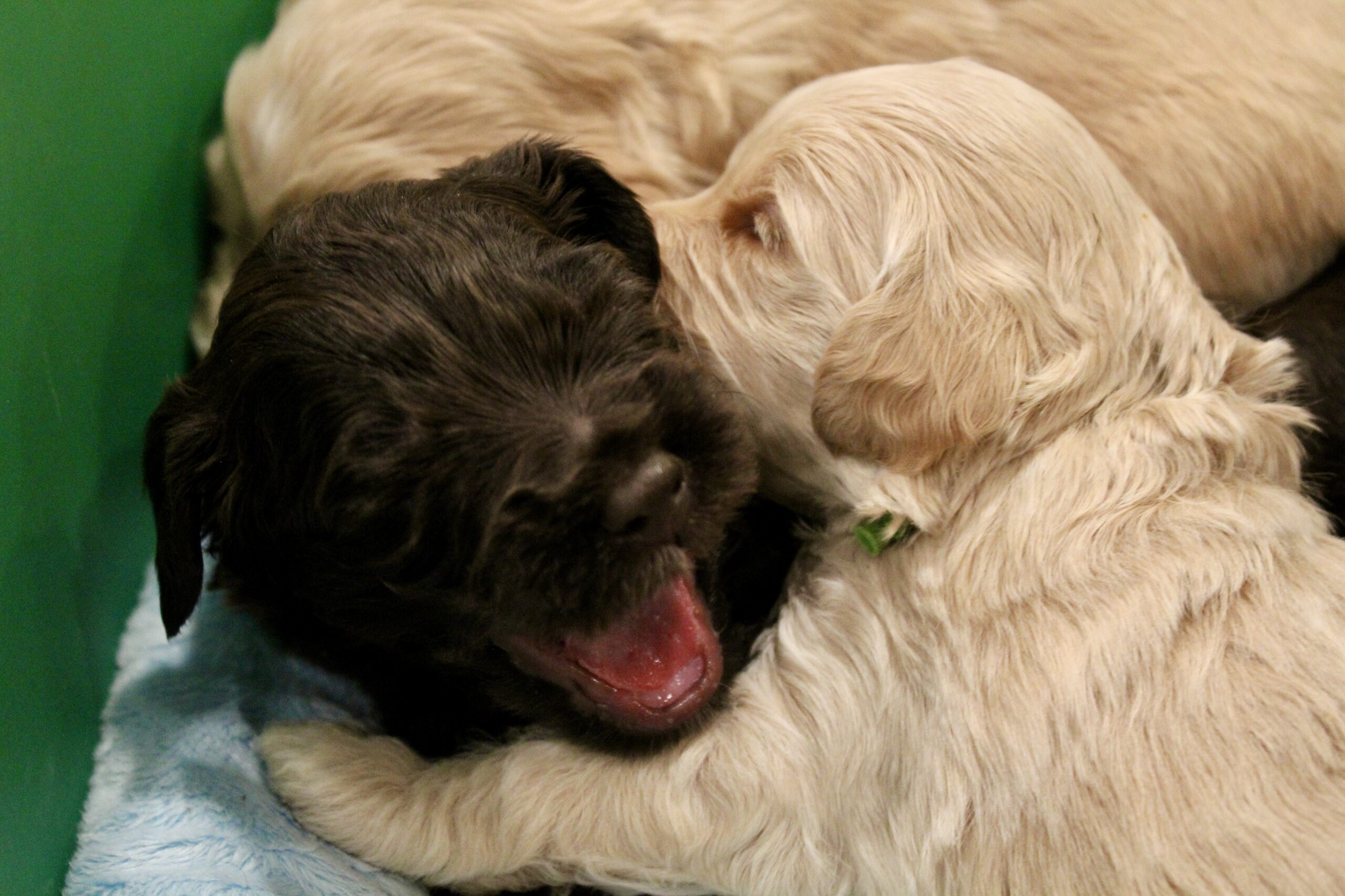 D9748434-F112-4793-9B91-5684391B7C34_1_201_a