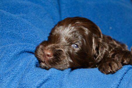 EA07B886-7B6E-4BD4-8AB3-1F1150B4E3F5_1_201_a