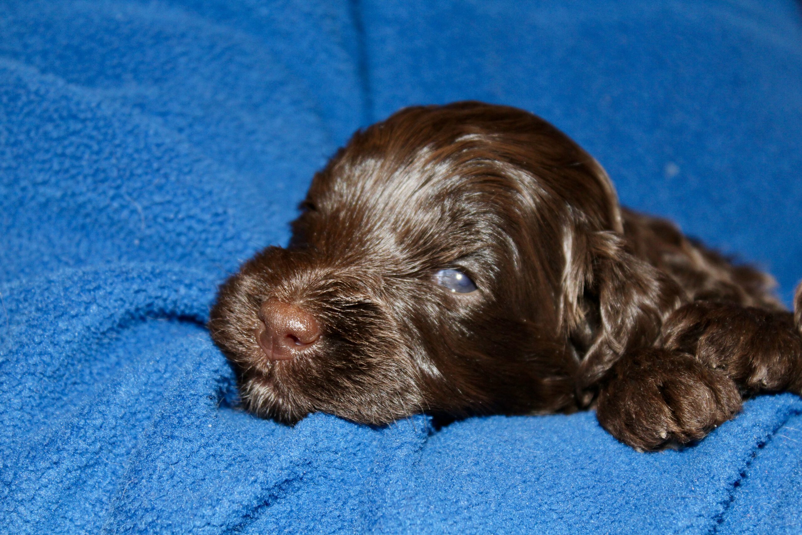 EA07B886-7B6E-4BD4-8AB3-1F1150B4E3F5_1_201_a