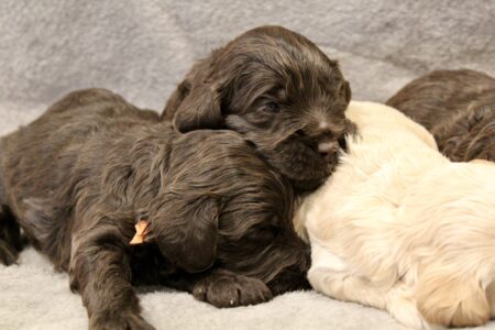 F0937677-9E20-4298-9AD7-85386DE3AE9D_1_201_a