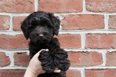 EBE50DF2-2134-4C82-A48F-4C5BDE369B68_1_201_a